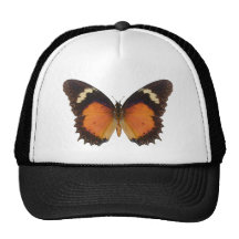 Papillon de Lacewing Casquettes