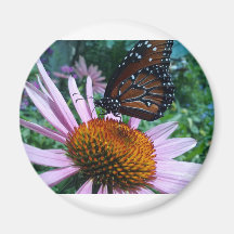 Papillon de monarchie aimant pour réfrigérateur