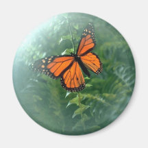 Papillon de monarque (2) magnets pour réfrigérateur