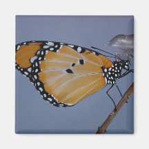 Papillon de monarque (3) magnets