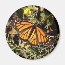 Papillon de monarque aimant pour réfrigérateur