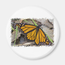 Papillon de monarque aimant pour réfrigérateur
