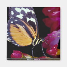 Papillon de monarque aimants pour réfrigérateur