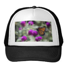 Papillon de monarque casquette