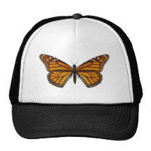 Papillon de monarque casquette de camionneur