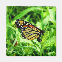 Papillon de monarque Manget Aimant Pour Réfrigérateur