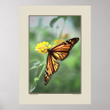 Papillon de monarque posters