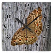Papillon de panthère de Junio