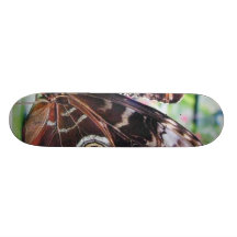 Papillon de papillons planches à roulettes