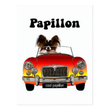 Papillon drôle cartes postales