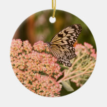 Papillon et fleurs ornements