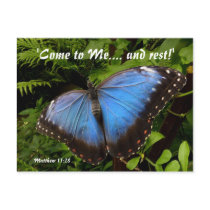 Papillon exotique bleu cartes postales