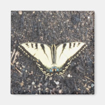 Papillon jaune magnets
