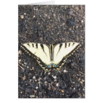 Papillon jaune cartes