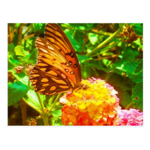 Papillon (papillon) carte postale