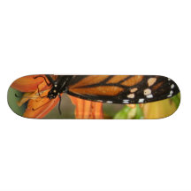 papillon planches à roulettes customisées