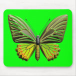 Papillon Tapis De Souris