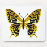 Papillon Tapis De Souris