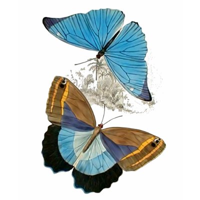 Papillons - bleu par Memory_Lane