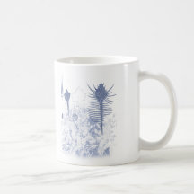 papillons de coquille, papillons de coquille tasse