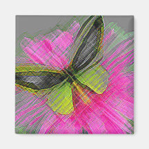 Papillons de monarque aimant
