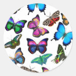 Papillons flottant par l'autocollant