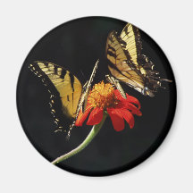 Papillons sur une fleur aimant pour réfrigérateur