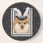 Pâques - un certain lapin vous aime - Pomeranian Dessous De Verres