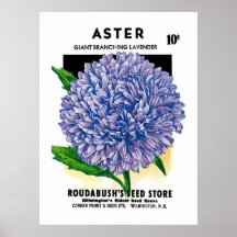 Paquet vintage de graine d'aster posters