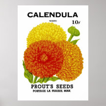 Paquet vintage de graine de Calendula Poster