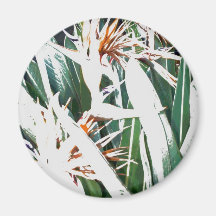 Paradijsvogels Koelkast Magneetje