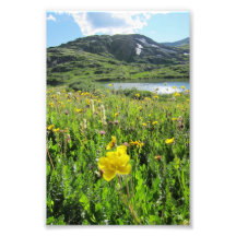 Paradis de fleur impressions photo
