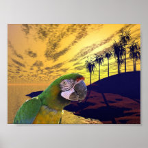 Paradis de perroquets posters