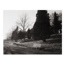 Parc de Bell Vue, Newport, lundi Cartes Postales