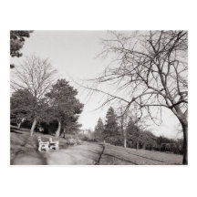 Parc de Bell Vue, Newport, lundi Cartes Postales