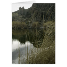Parc d'état d'arborétum de Boyce Thompson, Arizona Carte De Vœux