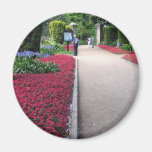 Park in St Helier Jersey Eiland Koelkast Magneet