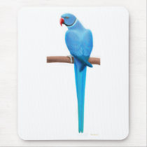 Parrakeet bleu Mousepad de Ringneck d'Indien