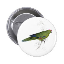 Parrakeet Pacifique par Edward Lear Badges