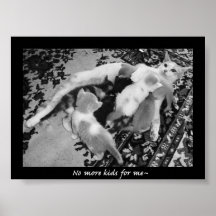 pas plus d'enfants pour moi posters