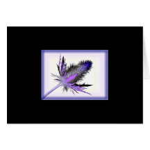 Passion… Carte De Vœux
