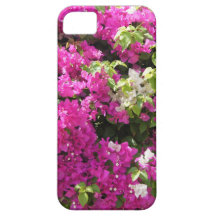 Passion rose coques iPhone 5