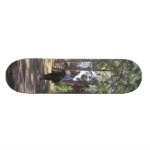 Patin de dressage plateaux de skateboards customisés