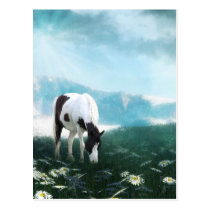 Pâturage du cheval de peinture cartes postales