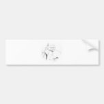 Paus Benedict Bumperstickers