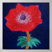 Pavot rouge vibrant posters
