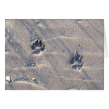 Pawprints dans la carte de sable