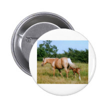 Pays de cheval badges avec agrafe