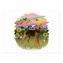 Pays de montagne - Airedale (support) Carte Postale