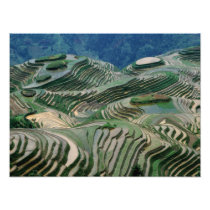 Paysage des terrasses de riz dans la montagne,